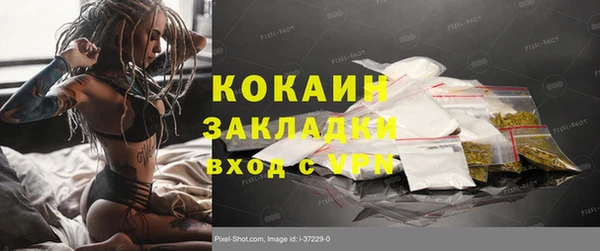 индика Сосновоборск
