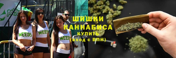 мдпв Богородицк