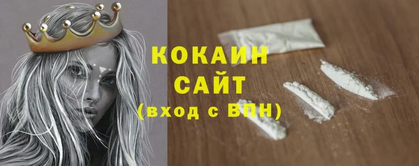 мдпв Богородицк