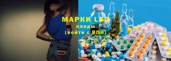 мдпв Богородицк
