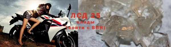 шишки Сосновый Бор