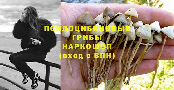 а пвп мука Богородск