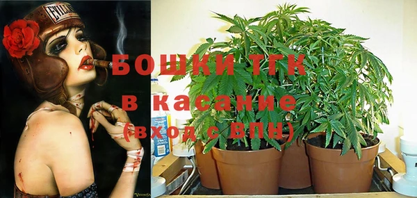 мдпв Богородицк