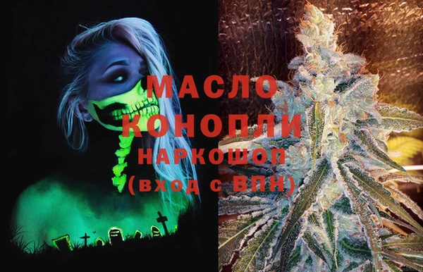 индика Сосновоборск
