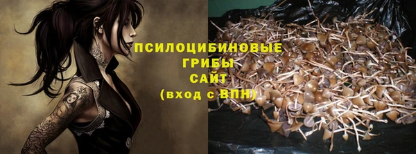 экстази Богданович