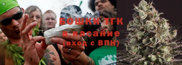 мдпв Богородицк