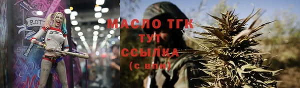мдпв Богородицк