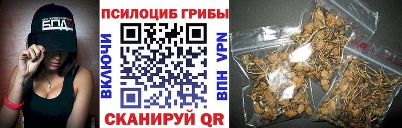 купить  цена  Кировск  мега вход  Галлюциногенные грибы прущие грибы 